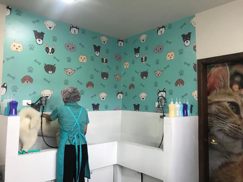 Sala de banho com bancadas brancas e parede de azulejo turquesa estampado